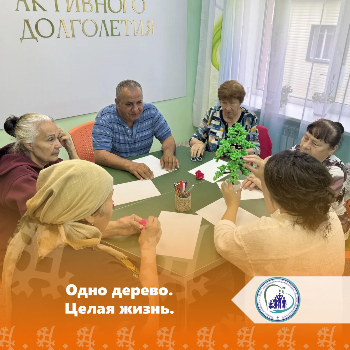 Одно дерево. Целая жизнь.