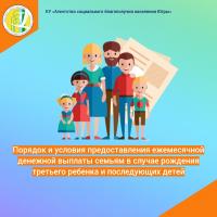 Порядок и условия предоставления ежемесячной денежной выплаты семьям в случае рождения третьего ребенка и последующих детей