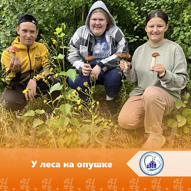 У леса на опушке