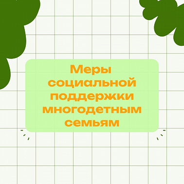 Меры социальной поддержки многодетным семьям