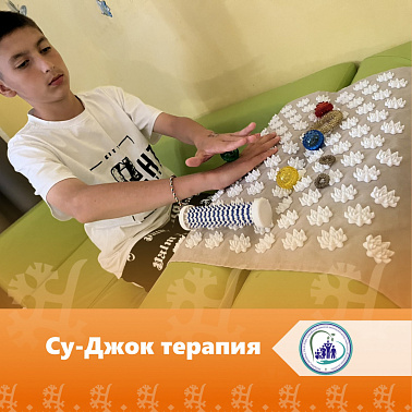 Су-Джок терапия